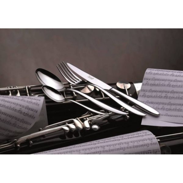 SET 24 POSATE SALVINELLI MOD. FAST